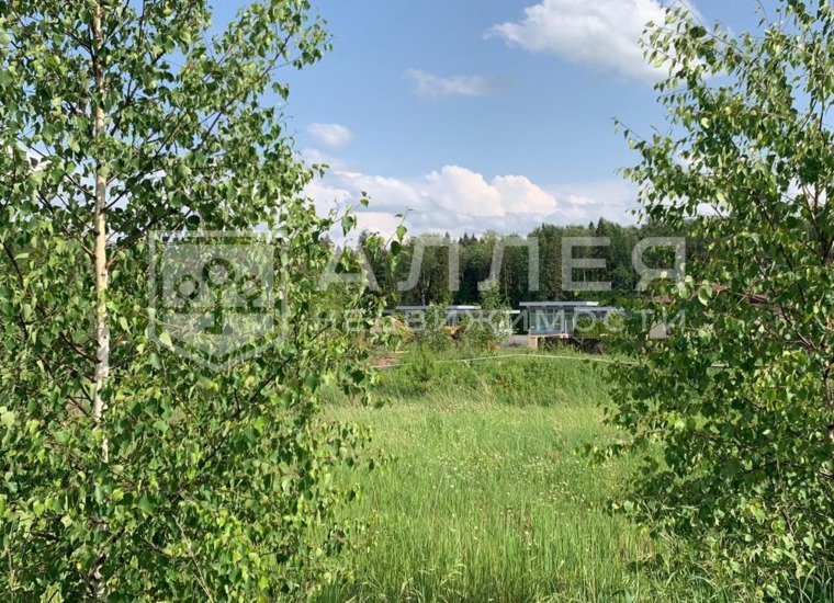 u1207